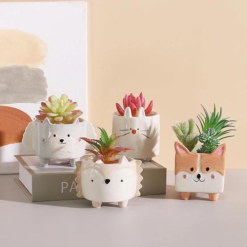 Boxy Animal Keramik-Sukkulenten-Pflanzgefäße