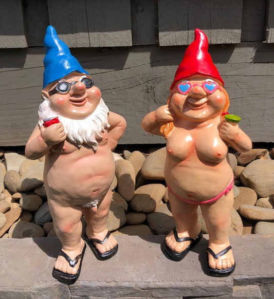 🔥Christmas Pre Sale 50% OFF🔥 Very Naughty Gnomes